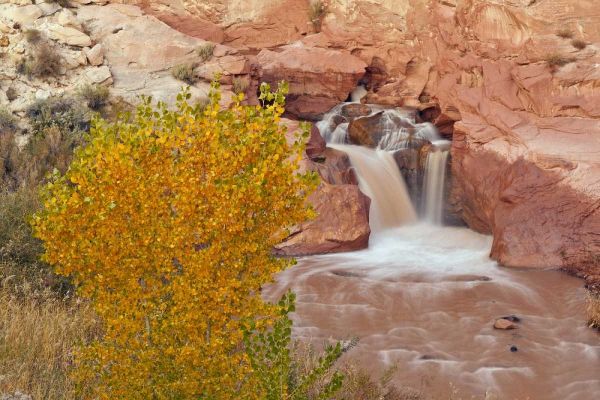 UT, Capitol Reef NP Waterfall on Fremont River